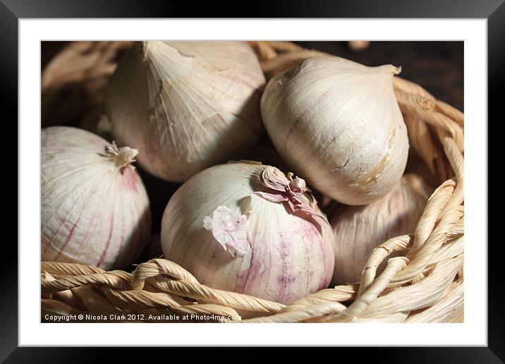 Garlic Framed Mounted Print by Nicola Clark
