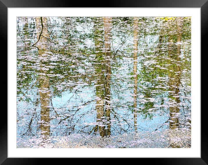 Blossom Lake Framed Mounted Print by Hannah Scriven