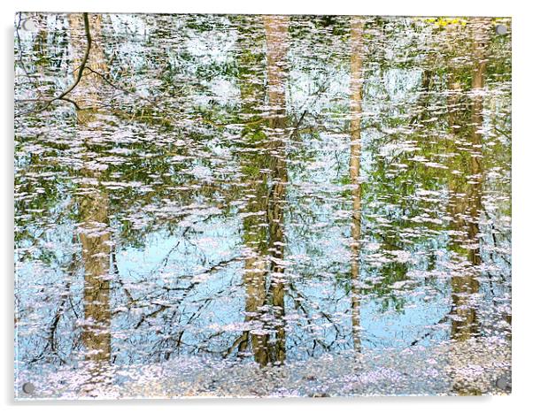 Blossom Lake Acrylic by Hannah Scriven