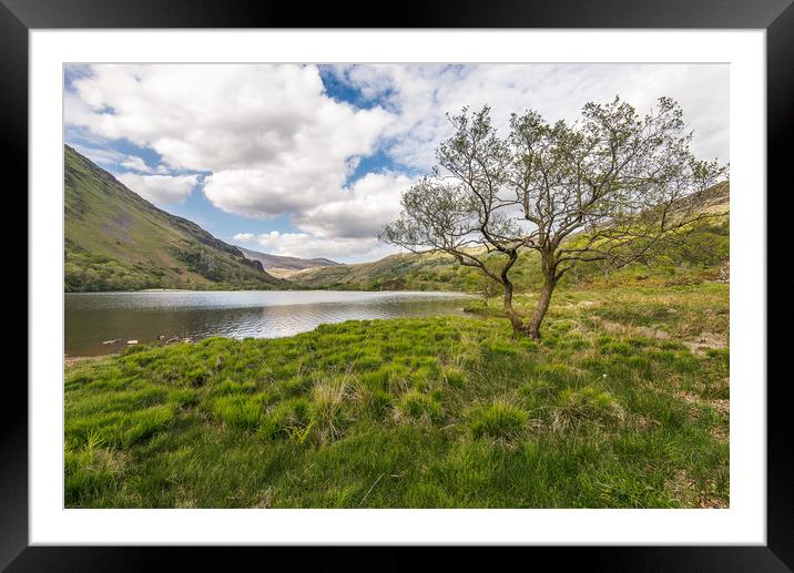 Green and pleasant land Framed Mounted Print by Jonathon barnett