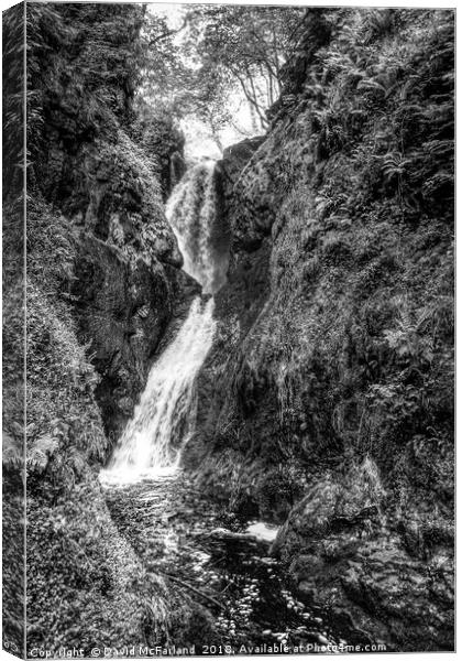 Glenariff waterfall Canvas Print by David McFarland