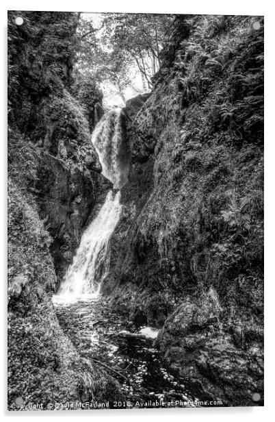 Glenariff waterfall Acrylic by David McFarland