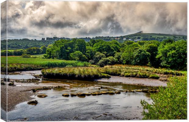 Marshes, Cardigan, Pembrokeshire, Wales, UK Canvas Print by Mark Llewellyn