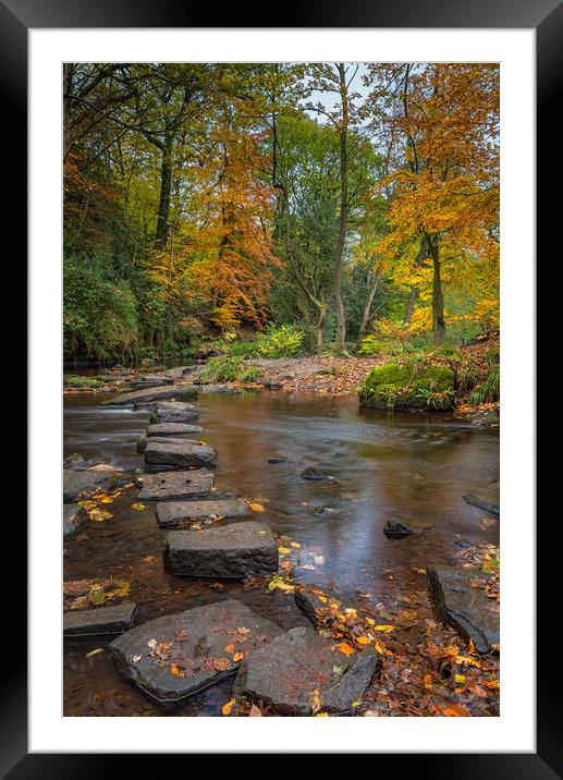 Rivelin Stepping Stones  Framed Mounted Print by Paul Andrews