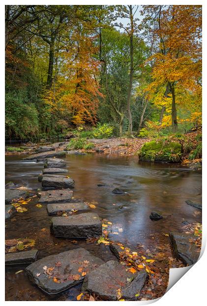 Rivelin Stepping Stones  Print by Paul Andrews