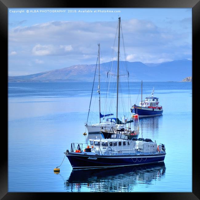 Mallaig Marina, North West Scotland. Framed Print by ALBA PHOTOGRAPHY