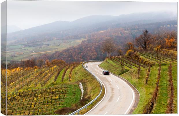 Road between vineyards, Wachau, Austria. Canvas Print by Sergey Fedoskin