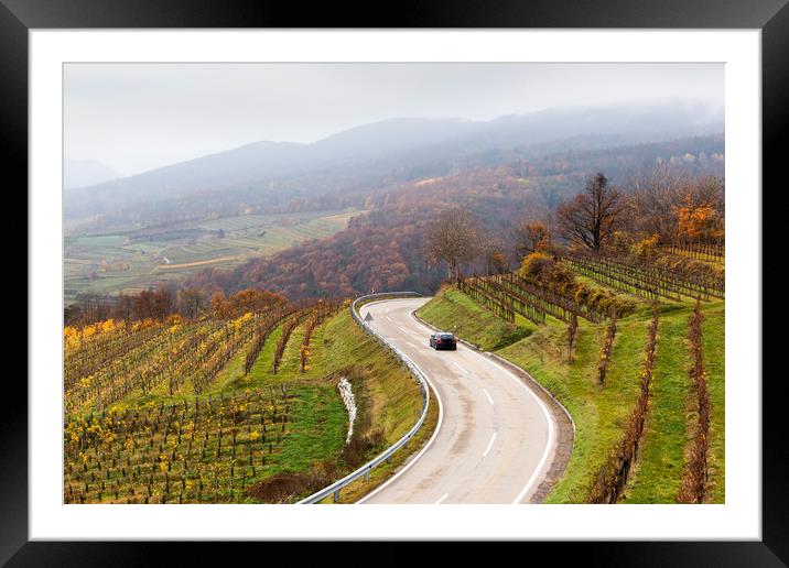 Road between vineyards, Wachau, Austria. Framed Mounted Print by Sergey Fedoskin