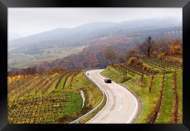Road between vineyards, Wachau, Austria. Framed Print by Sergey Fedoskin