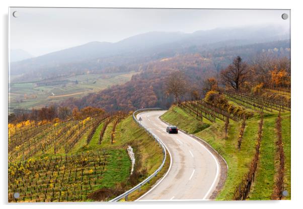 Road between vineyards, Wachau, Austria. Acrylic by Sergey Fedoskin