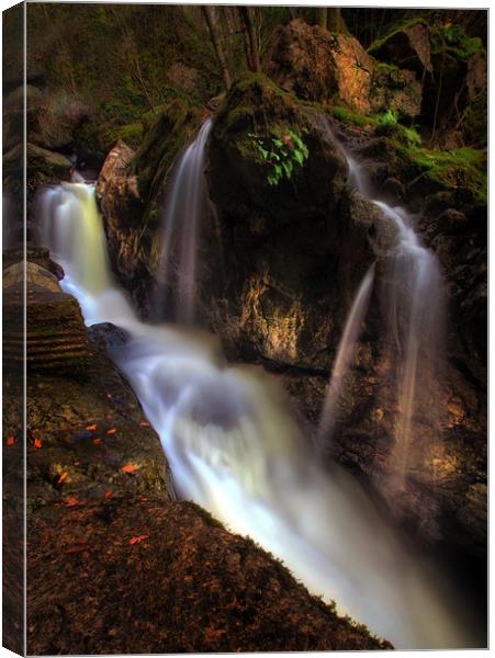 Waterfall behind Dinas Rock Canvas Print by Leighton Collins