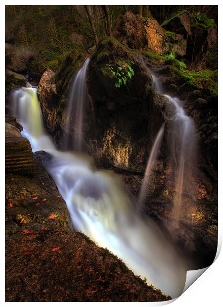Waterfall behind Dinas Rock Print by Leighton Collins