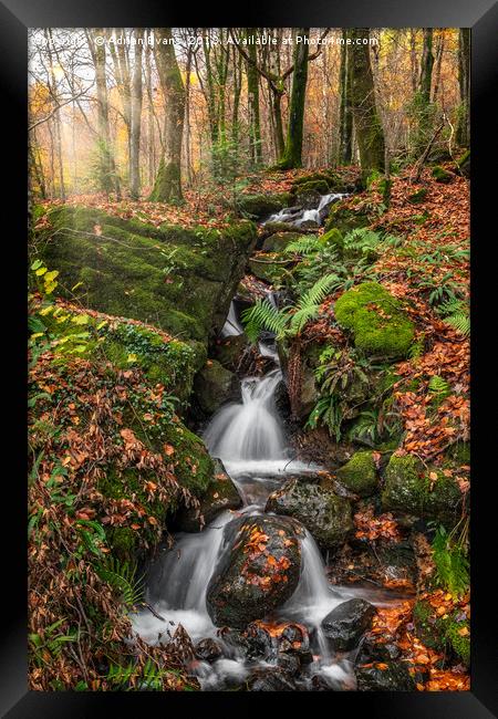 Autumn Forest Stream Framed Print by Adrian Evans