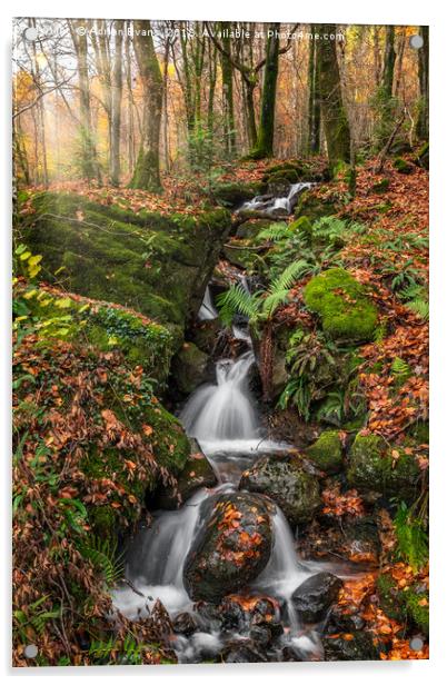 Autumn Forest Stream Acrylic by Adrian Evans