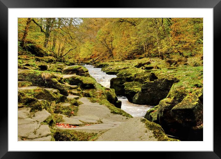 The Strid  Wharfedale Framed Mounted Print by Diana Mower