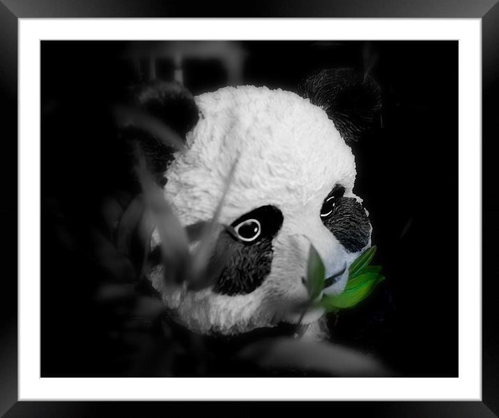 Panda Olly Framed Mounted Print by Louise Godwin