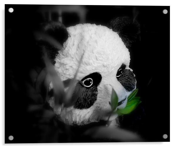 Panda Olly Acrylic by Louise Godwin