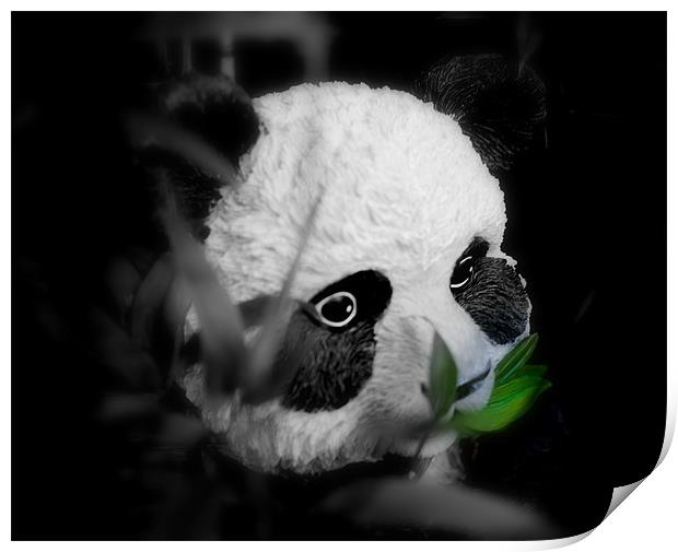 Panda Olly Print by Louise Godwin
