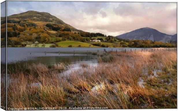 "Evening Light across Loweswater" Canvas Print by ROS RIDLEY