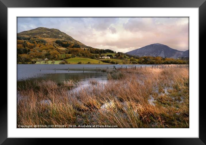 "Evening Light across Loweswater" Framed Mounted Print by ROS RIDLEY