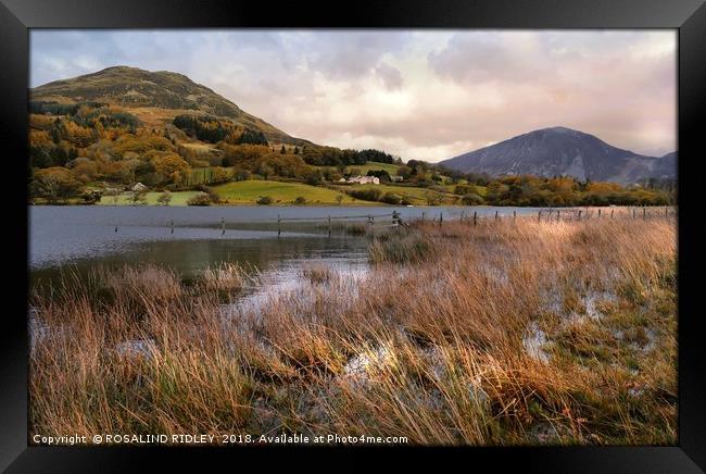 "Evening Light across Loweswater" Framed Print by ROS RIDLEY