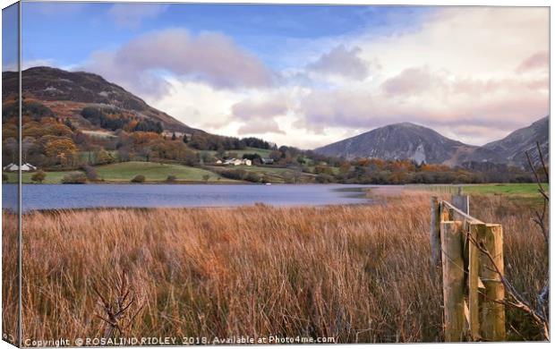 "Loweswater towards Darling Fell" Canvas Print by ROS RIDLEY