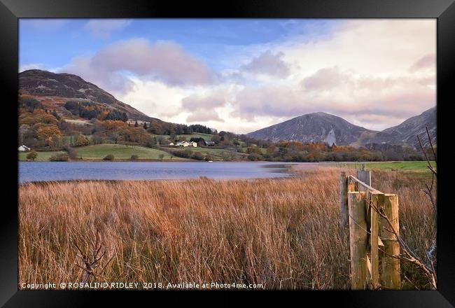 "Loweswater towards Darling Fell" Framed Print by ROS RIDLEY