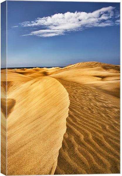 Malpalomas Sand Dunes Canvas Print by Jim kernan