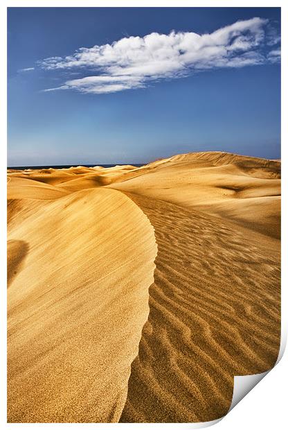 Malpalomas Sand Dunes Print by Jim kernan