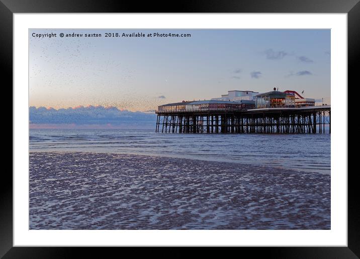 FLYING AROUND Framed Mounted Print by andrew saxton