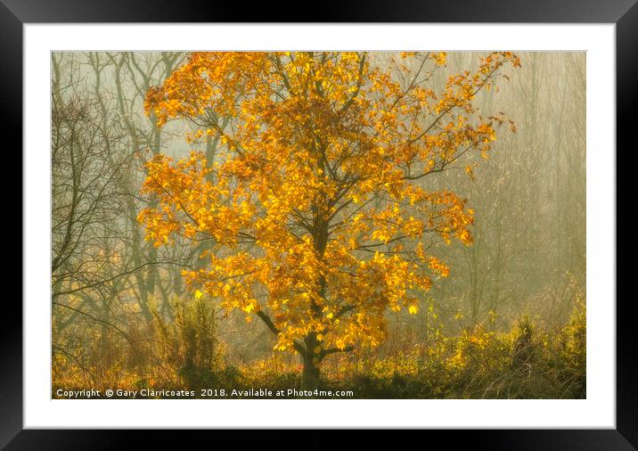 Morning mist Framed Mounted Print by Gary Clarricoates