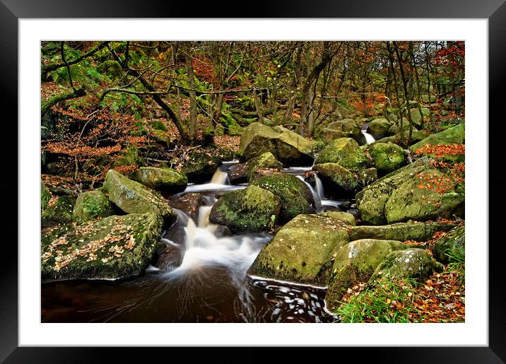 Padley Gorge in Autumn                       Framed Mounted Print by Darren Galpin