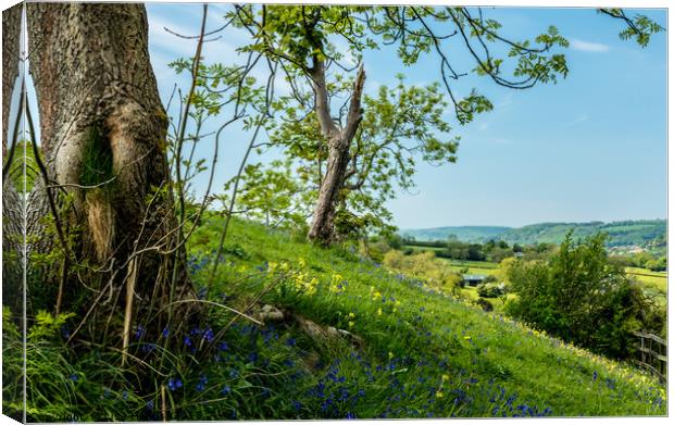 Spring flowers on High Tor, Matlock, Derbyshire Canvas Print by Lisa Hands