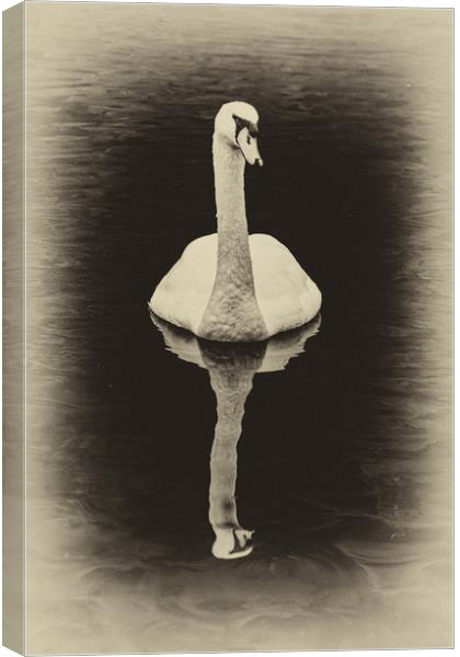 Swan Lake Antique Canvas Print by Steve Purnell