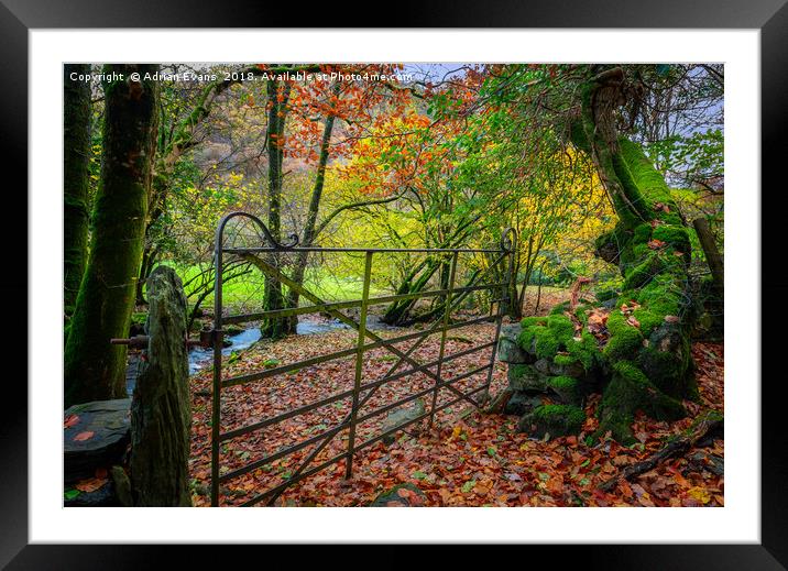 Gate to Autumn Framed Mounted Print by Adrian Evans