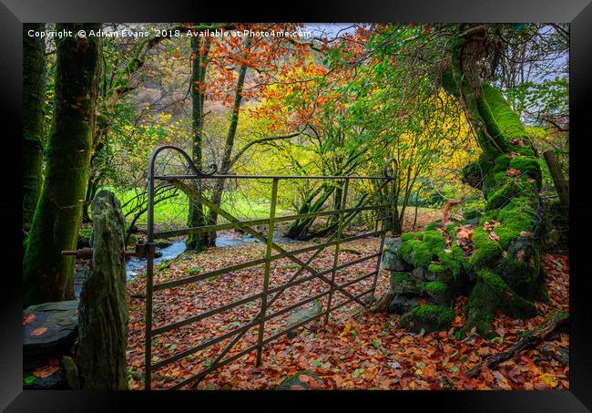 Gate to Autumn Framed Print by Adrian Evans