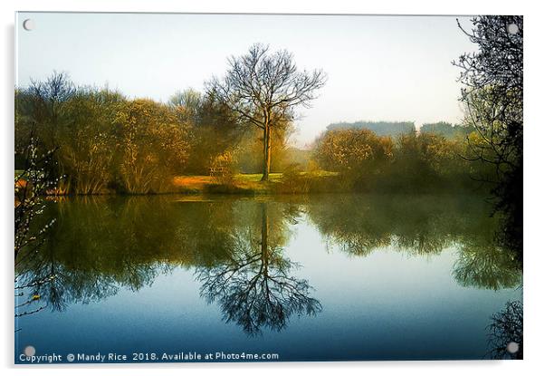 Mist across the lake Acrylic by Mandy Rice