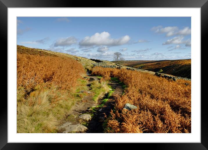 Yorkshire Dales Near Haworth Framed Mounted Print by Diana Mower