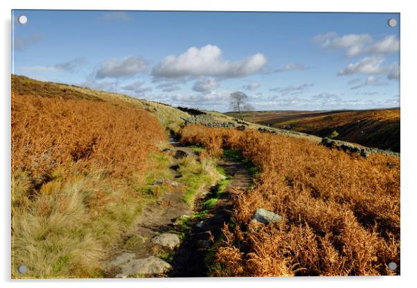 Yorkshire Dales Near Haworth Acrylic by Diana Mower