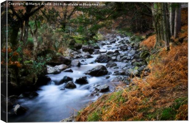 Autumn Stream in Wasdale at Wast Water Canvas Print by Martyn Arnold
