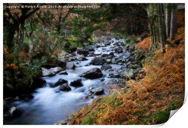 Autumn Stream in Wasdale at Wast Water Print by Martyn Arnold
