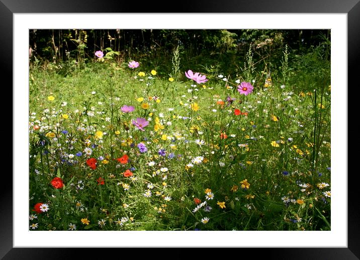 Summer Meadow Framed Mounted Print by Nathalie Hales