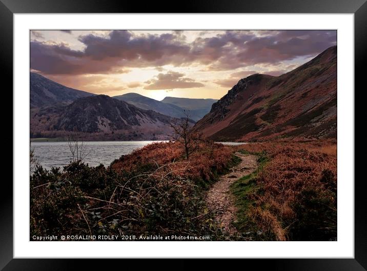 "Evening Light at Ennerdale water Framed Mounted Print by ROS RIDLEY