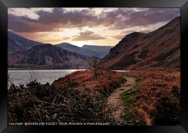 "Evening Light at Ennerdale water Framed Print by ROS RIDLEY