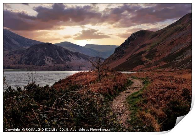 "Evening Light at Ennerdale water Print by ROS RIDLEY