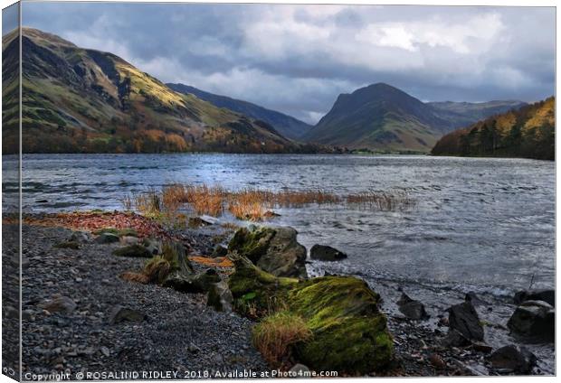 "Storm clouds gather at Buttermere" Canvas Print by ROS RIDLEY