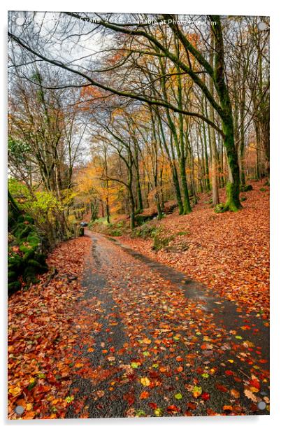 Autumn Colours Crafnant Wales Acrylic by Adrian Evans