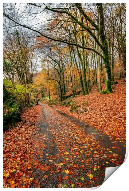 Autumn Colours Crafnant Wales Print by Adrian Evans