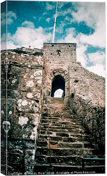 Steps of Carisbrook Castle Canvas Print by Mandy Rice