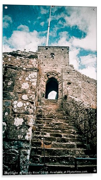 Steps of Carisbrook Castle Acrylic by Mandy Rice